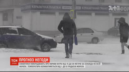 Гидрометцентр предупреждает о порывах ветра и снегопадах