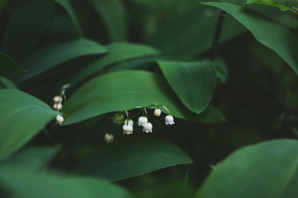 Народні прикмети 30 квітня / © Unsplash
