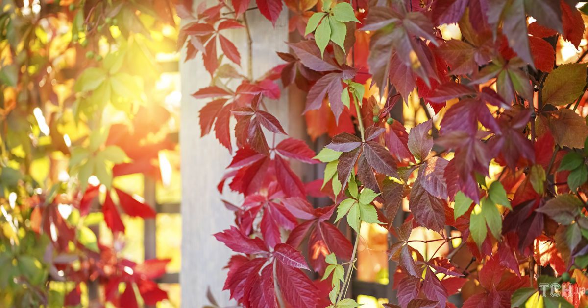 Гороскоп на 27 октября для всех знаков Зодиака