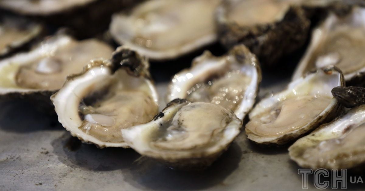 Устрицы