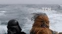 Рейси на Зірку смерті та Чубака на яхті: в усьому світі фанати відзначають день "Зоряних війн"
