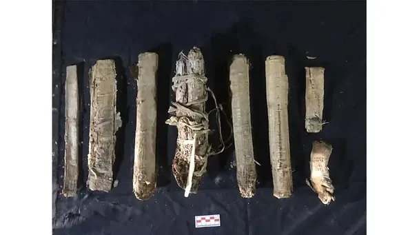 У Єгипті знайдено гробницю 22 співачок Амона. / © The Daily Galaxy