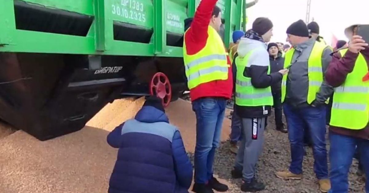 Поляки рассыпали украинское зерно из вагона 20 февраля. ФОТО: сундуки