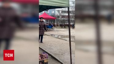 Табун коней галопом Запоріжжям!