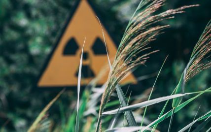 "Как 10 Чернобыльских зон отчуждения": в Минокружающей среды оценили последствия вероятной катастрофы на ЗАЭС