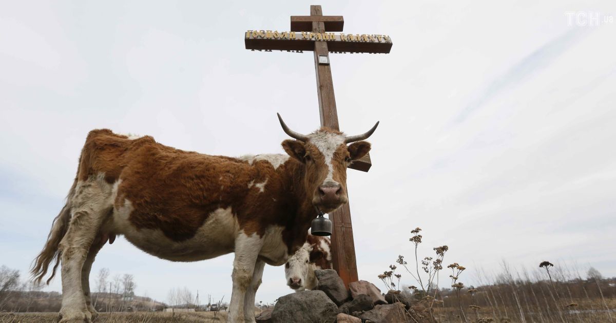 Дві третини росіян вірять у "таємну змову для руйнування духовних цінностей країни"