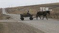 Рекордное коичество россиян попросили политического убежища в США