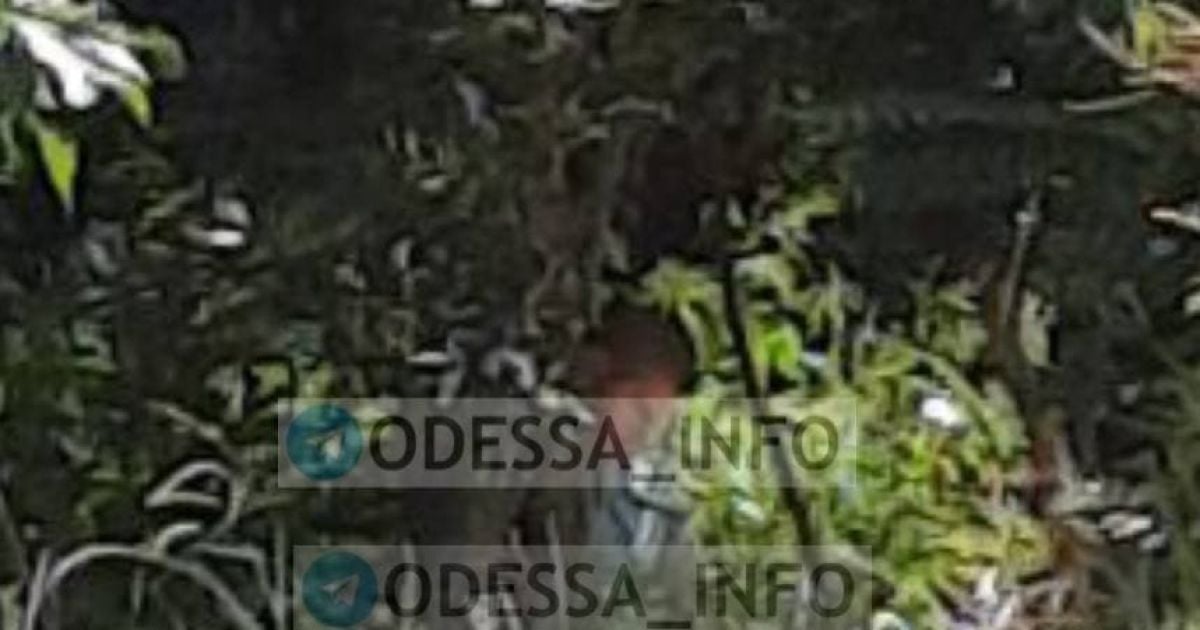 Фото: Telegram / Одеса.info