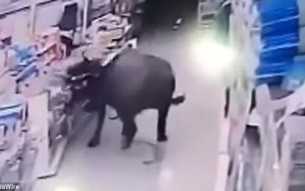 У Китаї оскаженілий буйвол напав на вагітну жінку у магазині