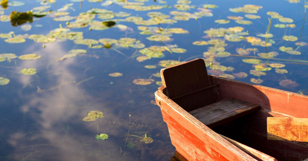 В России сын директора школы жестоко убил женщину, чтобы не возвращать ей деньги