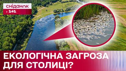 Забруднення Десни: чи зачепить екологічне лихо столицю?