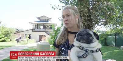 Повернення Каспера. Мопс, якого викрали на пляжі у столиці, повернувся до своєї господарки