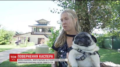 Повернення Каспера. Мопс, якого викрали на пляжі у столиці, повернувся до своєї господарки