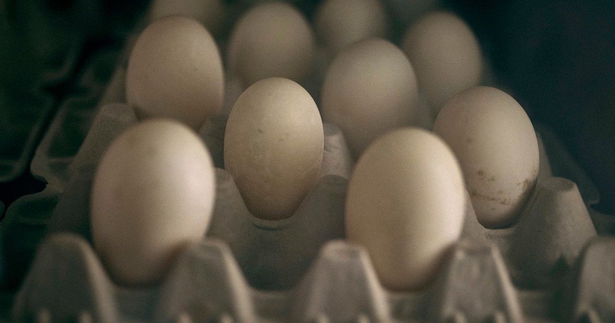 Яйця додадуть у ціні