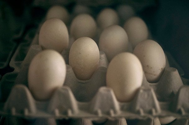Четыре продукта, в которых содержится суточная доза витамина D
