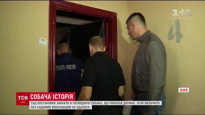 Во Львове исполнительная служба подозревает, что хозяева скрывают собаку от исполнения решения суда