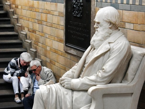 12 лютого святкують День Дарвіна (Міжнародний день науки і гуманізму) / © Pixabay