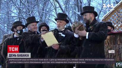 Пухнастий метеоролог: американський бабак Філ прогнозує пізню весну