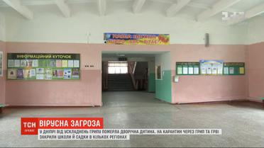 Школы и сады Житомира закрывают на карантин из-за гриппа и ОРВИ