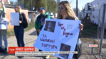 Несколько десятков зоозащитников пикетировали в Черновцах против участия животных в цирке