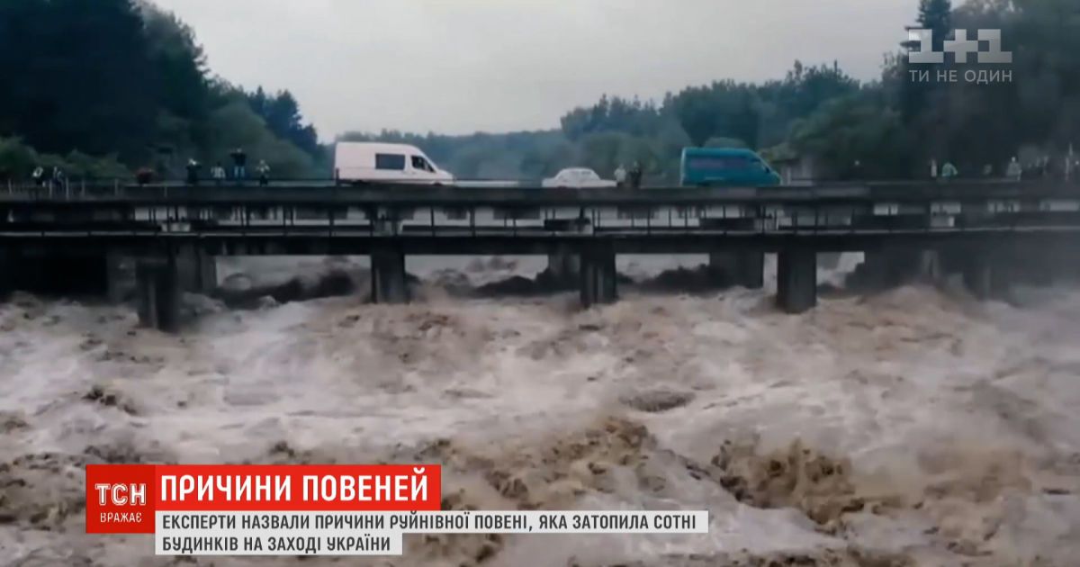 Действительно ли причиной паводков в Украине есть вырубка карпатских лесов