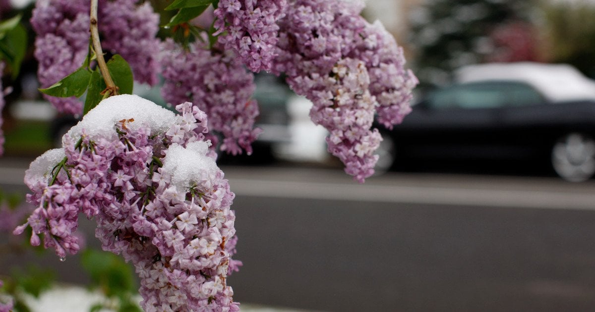 Погода в мае