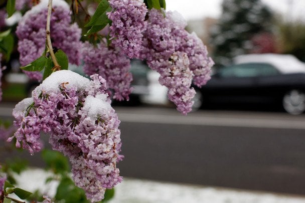 Літо затримується: метеорологи попередили про аномально холодний травень