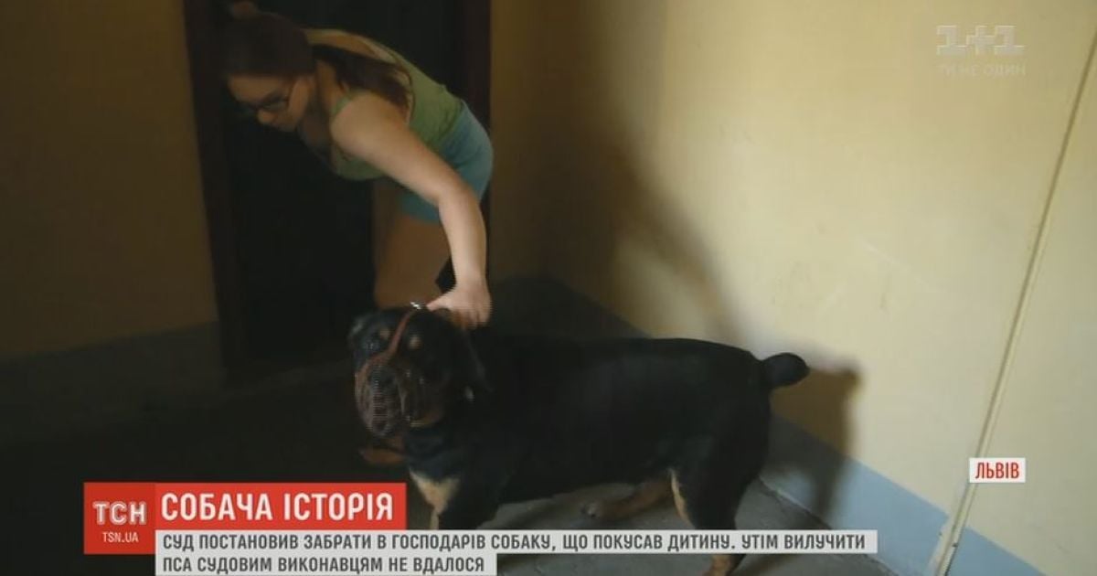 У Львові намагалися відібрати у господарів пса, який скалічив дитину