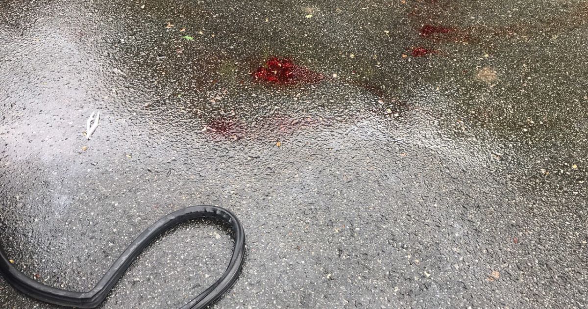 ДТП з маршруткою у Києві 29 квітня_3 / © Антон Страшко / ТСН