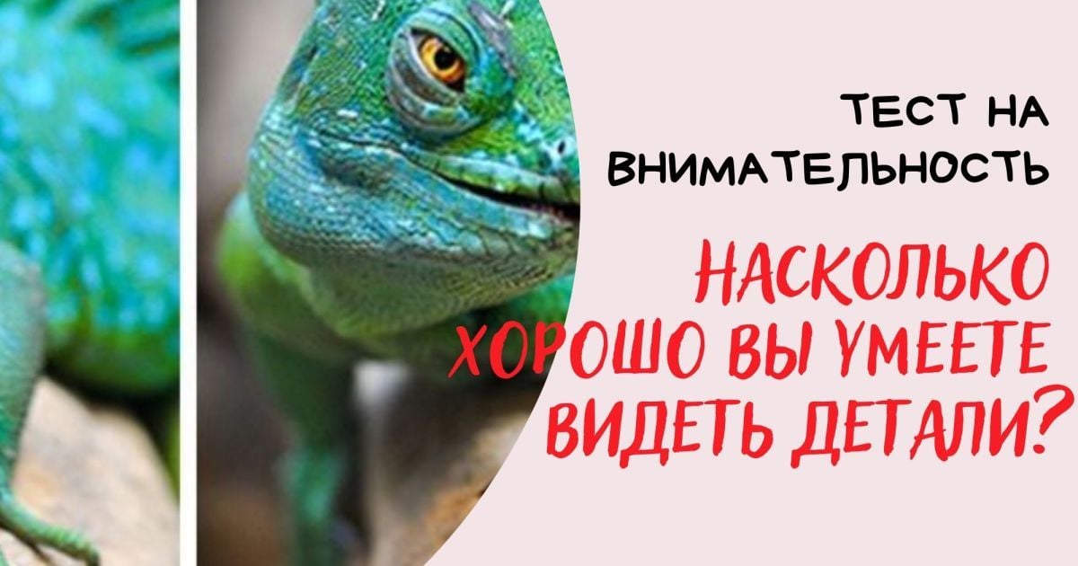 Тест