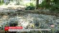 Порезанные гривны в мешках нашли в полях недалеко от Днепра