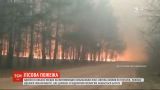 Масштабный пожар произошел в Житомирской области: огонь охватил 50 гектаров леса