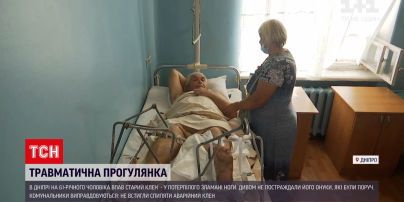 Новини України: у Дніпрі на пенсіонера впало сухе дерево, коли він гуляв з онуками