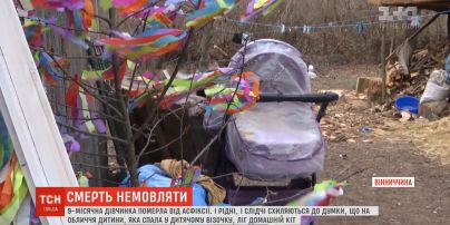Домашній кіт задушив 9-місячне немовля на Вінниччині