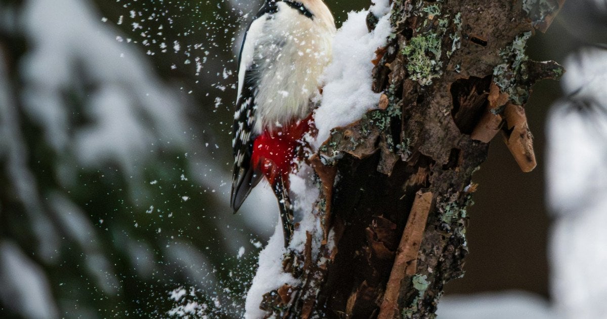 Який сьогодні, 10 грудня, день ангела