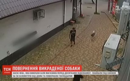 В Киеве владельцы отыскали похищенного пса за 30 километров от дома