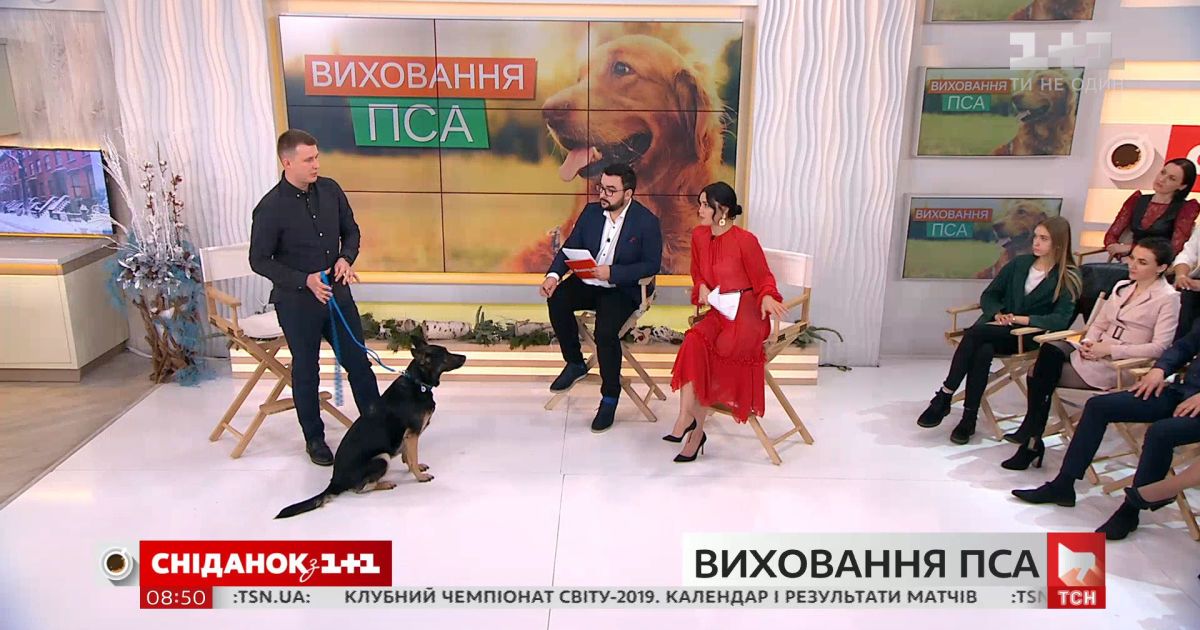 Военный кинолог владислав плахтий рассказал об основных методах воспитания собаки