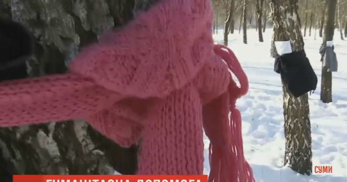 В Сумах на деревьях оставляют теплые вещи и еду для нуждающихся