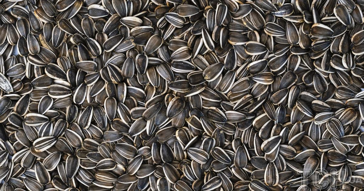 Чому лікарі рекомендують жінкам їсти більше насіння соняшника
