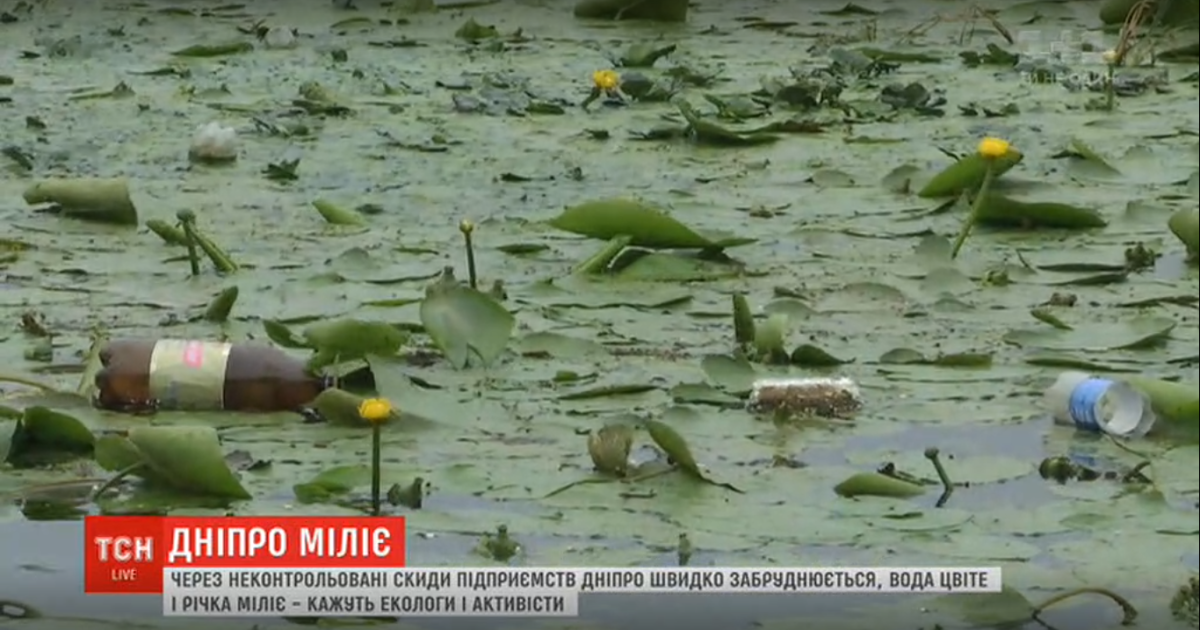 "Коктейль з усієї таблиці Менделєєва". Дніпро забруднюється хімікатами, цвіте, а тому швидко міліє