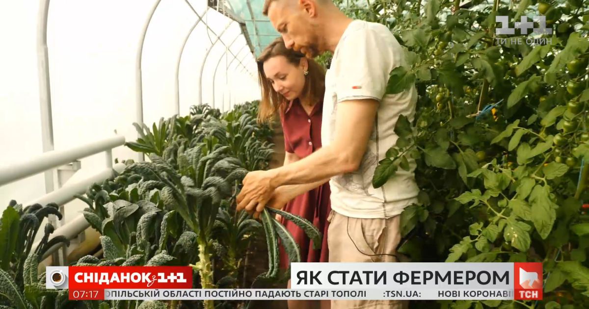 Как стать фермером — советы успешных украинских производителей