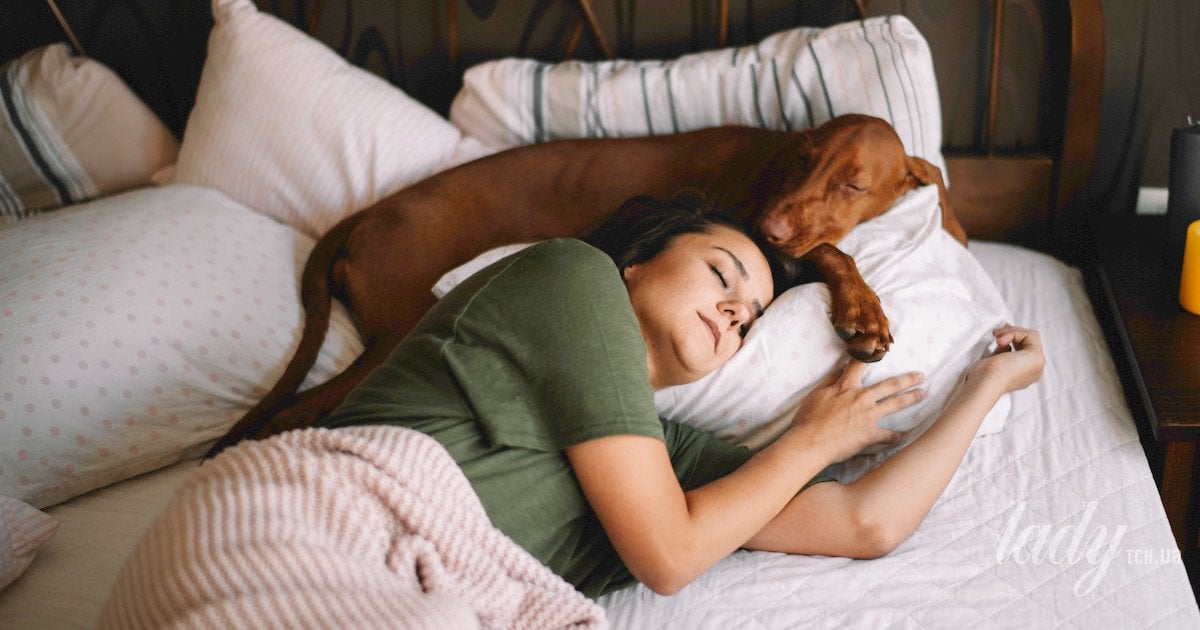 спільний сон із собакою чи котом