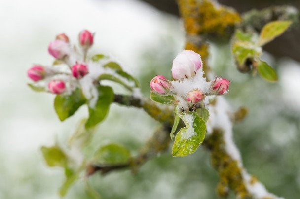 Не ховайте пуховики: синоптики попередили про ще сильніше похолодання і нову хвилю заморозків в Україні