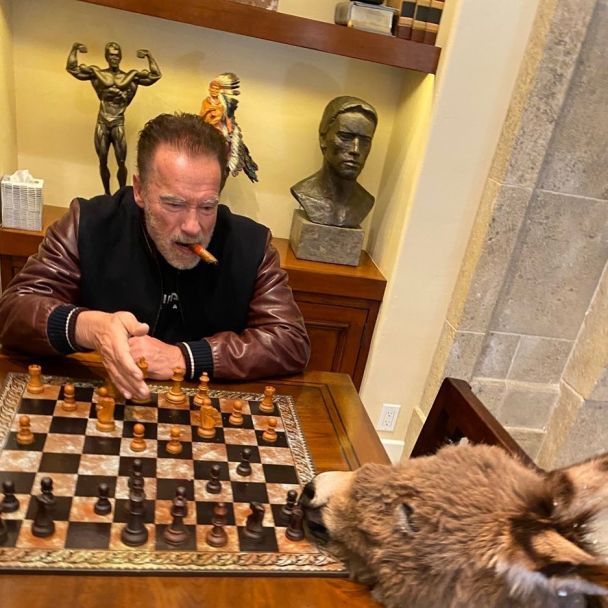  / © instagram.com/schwarzenegger