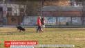 Перший день жорстких обмежень на пересування: чи дотримуються правил кияни