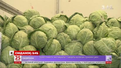 Доплаты пенсионерам, рабочие визы для украинцев в Чехии и дешевая молодая капуста – Экономические новости