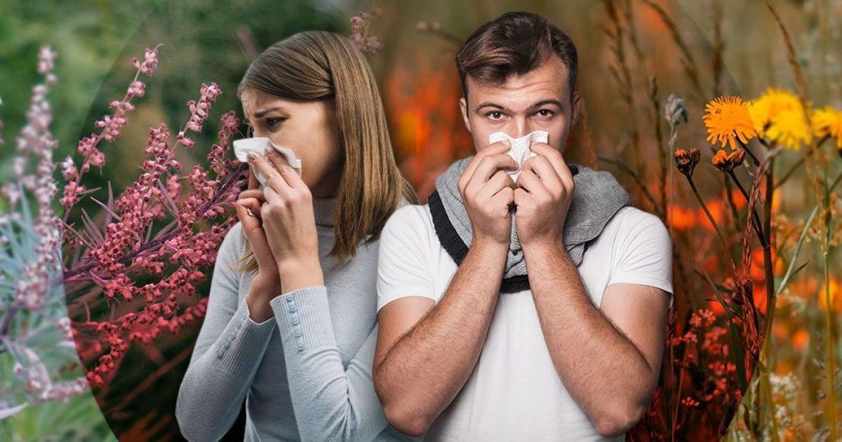 10 советов, облегчающих жизнь с аллергией: детали