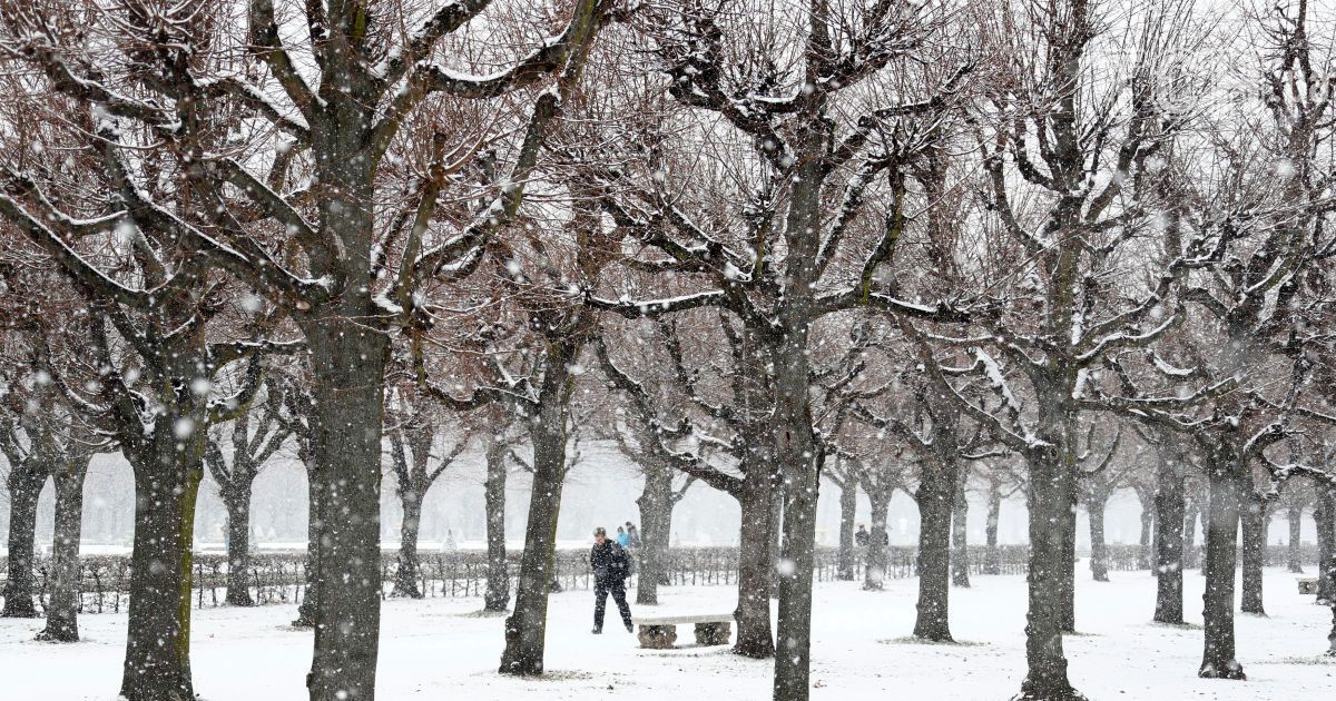 Синоптики обіцяють ще кілька днів морозів зі снігом, а потім - потепління. Прогноз на 22-26 березня