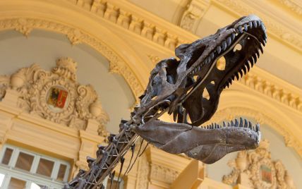 Удивительное открытие меняет взгляд на историю: ученые нашли неизвестного ранее динозавра-гиганта
