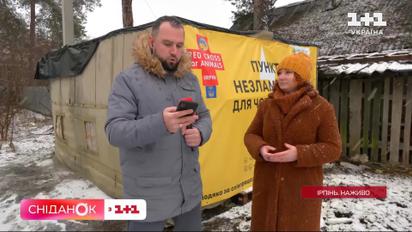В Ирпене заработал пункт несокрушимости для животных